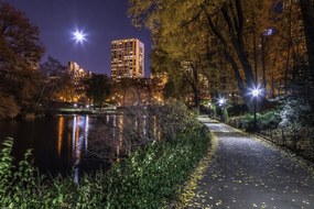 Poszter 45x30cm Esti kilátás a New York-i Central Parkra 8, Assaf Frank