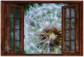 Poszterek 120x80 Pitypang Virág Virágok