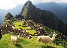 Kép - Machu Picchu (70x50 cm)