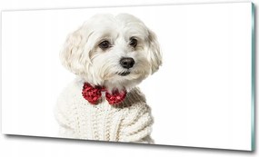 Fotó-üvegkép Máltai csokornyakkendő 125x50