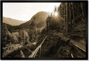 Poszterek keretben 60x40 Szépia tájkép Szépia