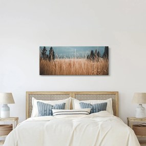 Kép - réti növényzet részlete (120x50 cm)