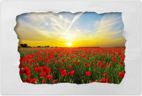 Poszterek 90x60 Pipacsmező nyugattal