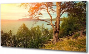 Fotótapéta üveg falra Házikó a Tátrában 125x50