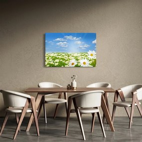 A virágzó rét százszorszépekkel képe (90x60 cm)