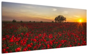 Pipacsos rét képe (120x50 cm)