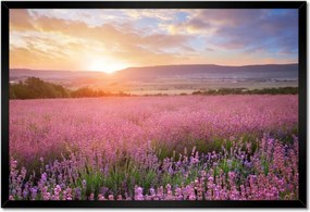 Poszterek keretben 60x40 Csodálatos naplemente