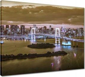 Vászonkép 50x40 Szivárványhíd Tokióban