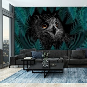 Fotótapéta - Bagoly (147x102 cm)