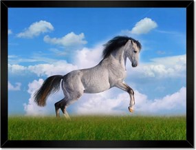 Poszterek keretben 40x30 Ló áll tölgy Ló