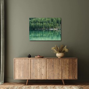 Kép - Tűlevelű a tónál (70x50 cm)