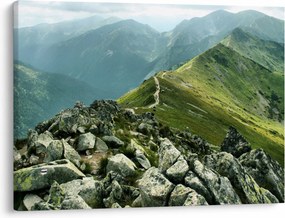 Kép - Hegyi táj (70x50 cm)