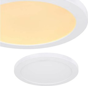 Lasse led mennyezeti lámpa 24W változtatható fényszín 3000-6500K