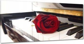 Vászonképek 120x60 Különböző a zongorán