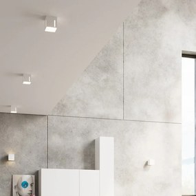 Fehér mennyezeti lámpa fém búrával 10x10 cm Pax – Sollux