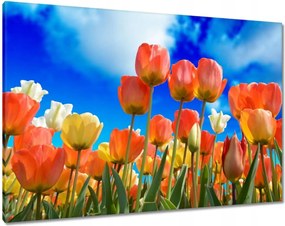 Vászonkép 100x70 Színes tulipánok Virágok