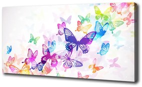 Vászonkép Színes pillangók oc-60051667