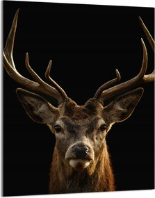 Üveg Vágódeszka 40x52 Szarvas a Konyhába