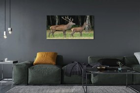 Canvas képek szarvas erdei 140x70 cm