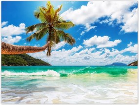 Poszterek 40x30 Paradicsomi tengerpart pálmafákkal