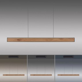 Paul Neuhaus modern skandináv függeszték pure e-motion fekete fa pln2570-79