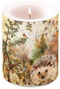 Autumn Hedgehog átvilágítós gyertya 12x10cm