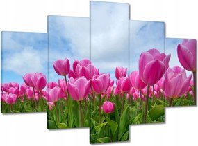 Képek 150x105 Tulipánok Virágok