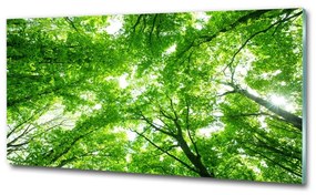 Egyedi üvegkép Zöld erdő osh-103615746