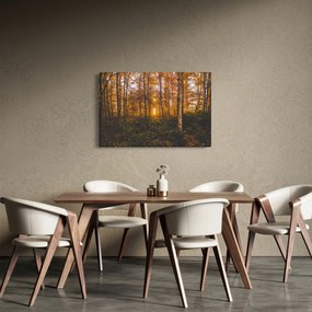 Egy őszi erdő képe (90x60 cm)