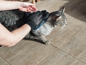 FUR kék fésűs masszázskesztyű kutyáknak/macskáknak