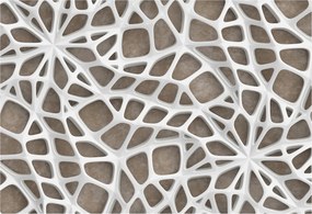 Fotótapéta Flizelin Fali ragasztó szett Csipke háló 152x104 ragasztó