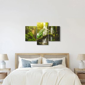 Kaméleon képe (90x60 cm)