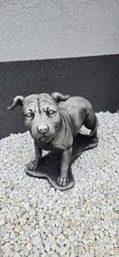 Beton figura Kutya Amerikai Staffordshire terrier, Amstaff álló