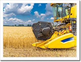 Poszterek keretben 40x30 Érett termések gyűjteménye