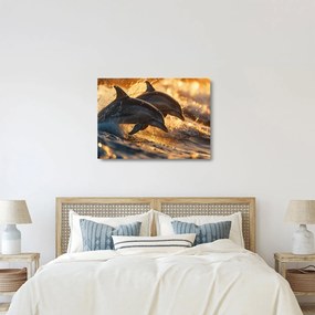 Üveg kép - Delfinek (70x50 cm)