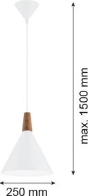 Argon KEGEL 8630 Függőlámpa 1x15W(Max)/E27 IP20