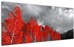 Kép - fák őszi színben (120x50 cm)