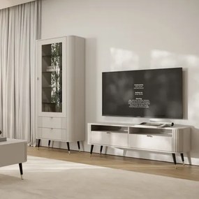 ONYX TV UNIT 2S2P
