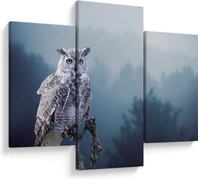 Kép - Hóbagoly (90x60 cm)