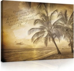 Vászonkép 100x75 Trópusi táj pálmafák tengerpart naplemente óceán tenger
