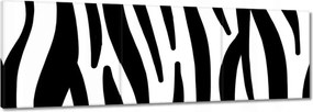 Vászonkép 90x30 Zebra csíkok