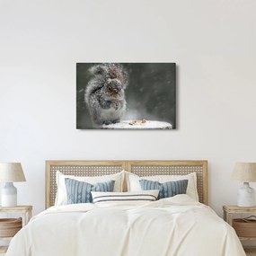 Kép - Mókus télen (90x60 cm)