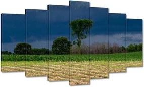 Festmények 140x80 Kukoricamező Fák
