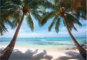 Fotótapéta tenger kék trópusi tengerpart pálmafákkal 368 x 254 15755ve8