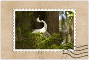 Poszterek 60x40 Kalapos madár Tájkép Kilátás