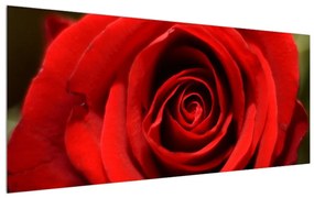 Rózsa virág részletes képe (120x50 cm)
