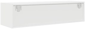 TV Szekrény Fehér 100x31x25,5 cm Műszaki Fa
