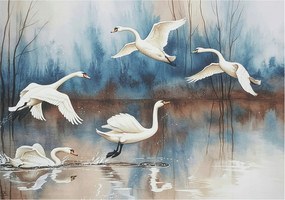 Dekoratív fotótapéta falra Könnyű összeszerelés Madarak repülés közben 208x146 Ragasztó