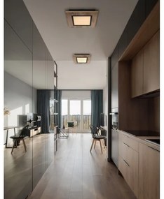 Globo 67292D2 - LED Mennyezeti lámpa LEA LED/12W/230V