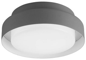 LED Kültéri mennyezeti lámpa LED/15W/230V IP65